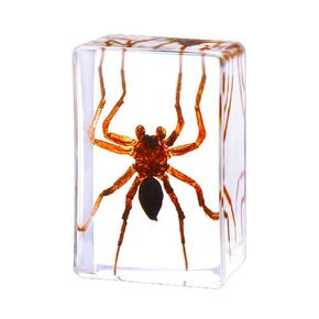 Spiders in Resin Specimen Bugs Collection Paperweights Arachnid Resin Specimen, Preserved in Resin for Kids Scientific Educational Supplies 1PCS