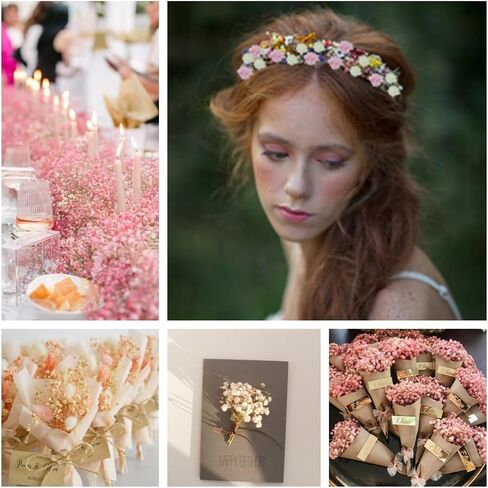 100Pcs Mini Dried Babys Breath Flowers Pink & White, 5600+ Baby's Breath Bulk Bouquet, Natural Dried Gypsophila Flowers for Resin, Home Vase Decor, Card Making DIY, Party, Wedding Flower Wreaths in Saudi Arabia
