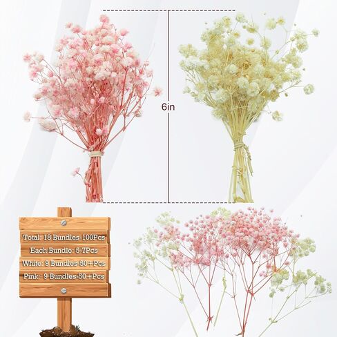 100Pcs Mini Dried Babys Breath Flowers Pink & White, 5600+ Baby's Breath Bulk Bouquet, Natural Dried Gypsophila Flowers for Resin, Home Vase Decor, Card Making DIY, Party, Wedding Flower Wreaths in Saudi Arabia