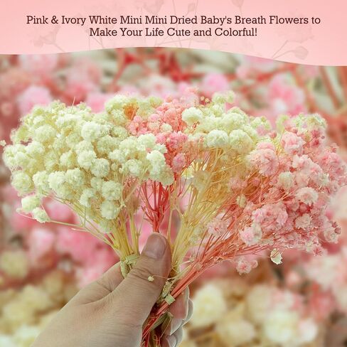 100Pcs Mini Dried Babys Breath Flowers Pink & White, 5600+ Baby's Breath Bulk Bouquet, Natural Dried Gypsophila Flowers for Resin, Home Vase Decor, Card Making DIY, Party, Wedding Flower Wreaths in Saudi Arabia