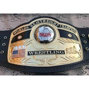 NWA Domed Globe Championship Belt 24k Gold Plating 4mm Zinc Adult Size,Black