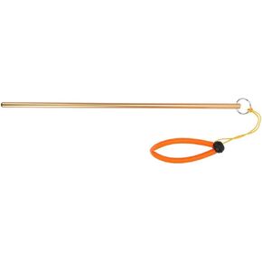 Diving Stick Pointer,Diving Pointer Portable Aluminum Alloy Reefing Stick Underwater Tickle Pointer Stick Diver Pointer with Hand Strap(Golden)