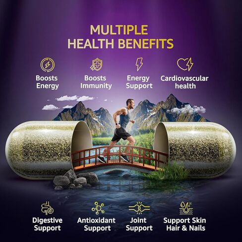 Dandy Decor من Ko & Co Sea Moss 3000mg زيت الحبة السوداء 2000mg Ashwagandha 1000mg الكركم 1000mg Bladderwrack 1000mg الأرقطيون 1000mg وفيتامين C وD3 in Kuwait