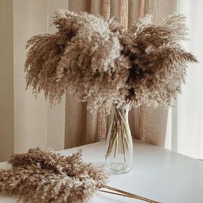 20 Stems Pampas Grass Decor - Dried Pampas, Fluffy Brown & White Pampas Grass Fluffy , Dry Short Flowers Small Pampas Bulk for Table Boho Home Decor, Wedding Decor(17.7 inch, 10 Brown & 10 White)