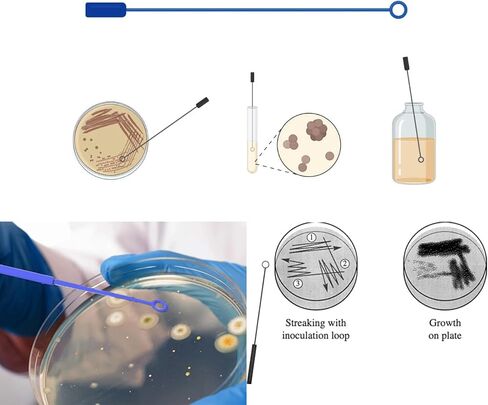 30 PCS 90mm 2 Compartments Plastic Petri Dish with Lids, Sterile with 10PCS 10uL Inoculation Loops in Saudi Arabia