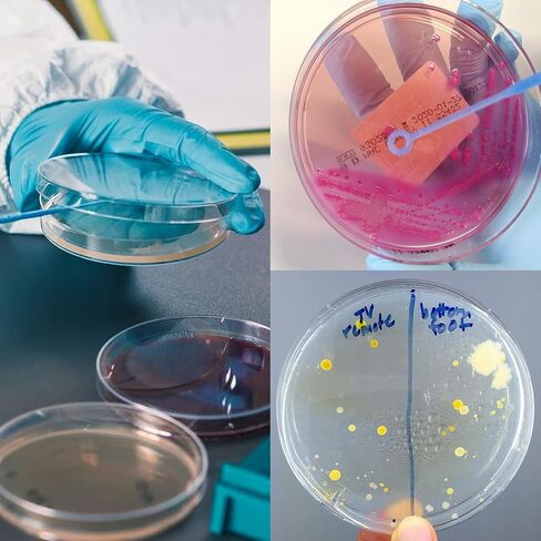 30 PCS 90mm 2 Compartments Plastic Petri Dish with Lids, Sterile with 10PCS 10uL Inoculation Loops in Saudi Arabia