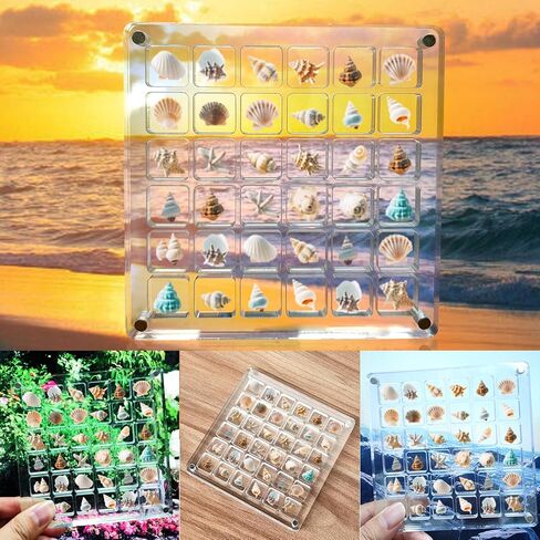 Acrylic Magnetic Seashell Display Box,Clear Sea Shell Holder Display Box,Beach Shelling Tools Storage Organizer Bag,Seashell Display Case(36 grids) in Saudi Arabia