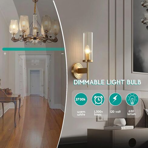 E12 60 Watt Incandescent Candle Light Bulbs, Chandelier Light Bulbs for Ceiling Fan, Vanity, Outdoor - Warm White 2500K, 500 Lumen Dimmable B10 Clear Candelabra Base Bulbs (12 Pack) in Saudi Arabia
