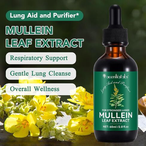 Mullein Leaf Extract Tincture for Better Lung | Mullein Leaf Liquid Extract | Healthy Breathing| Non GMO | Alcohol Free | Vegan | 2 Fl Oz in Saudi Arabia
