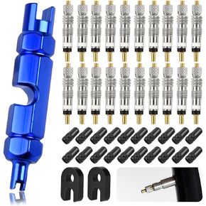 Valve Core Remover Tool Kit, 20 Valve Core Brass 20 Valve Core Caps 2 Valve Core Removal Tool 1 Blue Bicycle Valve Core Tightening Tool Valve Stem Core for Tubeless Bike Tires Application (43 PCS)