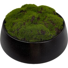 Moss Bowl | 8" Diameter | Artificial | Lightweight Ceramic Bowl | Home Décor