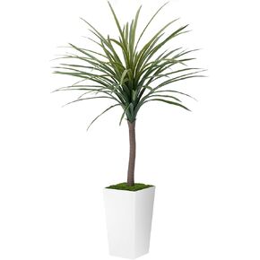 نبات Dracaena الاصطناعي بطول 5 أقدام - شجرة صناعية مع زارع أبيض طويل القامة - نبات يوكا مزيف في وعاء - شجرة حرير استوائية صناعية للمنزل والمكتب وغرفة المعيشة وديكور داخلي in Kuwait