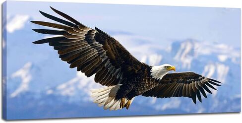 كبير أصلع النسر جدار الفن الأمريكي الطائر النسر صور جدار ديكور النسر قماش اللوحة طباعة ملصقات تحفيزية وطنية ديكور المنزل الفني مؤطرة للحمام مكتب غرفة المعيشة غرفة نوم 30 "× 60" in Kuwait