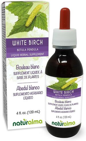 Naturalma نبات البتولا الأبيض (بيتولا بندولا، ألبا أو ثؤلول) صبغة خالية من الكحول - 4 أونصة سائلة مستخلص سائل في قطرات - مكمل عشبي - نباتي in Kuwait