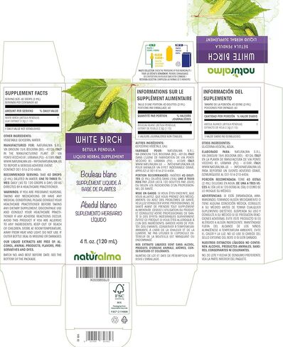 Naturalma نبات البتولا الأبيض (بيتولا بندولا، ألبا أو ثؤلول) صبغة خالية من الكحول - 4 أونصة سائلة مستخلص سائل في قطرات - مكمل عشبي - نباتي in Kuwait