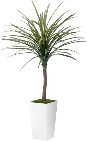 نبات Dracaena الاصطناعي بطول 5 أقدام - شجرة صناعية مع زارع أبيض طويل القامة - نبات يوكا مزيف في وعاء - شجرة حرير استوائية صناعية للمنزل والمكتب وغرفة المعيشة وديكور داخلي in Kuwait
