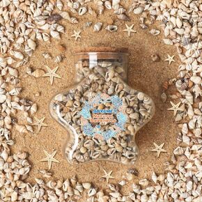 Tiny Sea Shells and Natural Starfish for Crafting, Mixed Ocean Beach Mini Seashells Bulk for Decorations,Vase Filler,Beach Theme Party(250g)