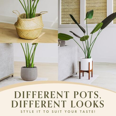 FOREVER LEAF 5 Feet Bird of Paradise Artificial Plant, Includes Black Planter, Realistic Banana Shaped Leaves, Large Faux Floor Plants for Living Room, Perfect Silk Plants for Home Decor Indoor in Saudi Arabia