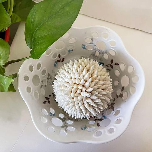 4 Inch White Sea Shells Balls Nautical Handmade Home Wedding Dining Table Beach Decor in Saudi Arabia
