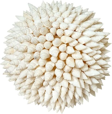 4 Inch White Sea Shells Balls Nautical Handmade Home Wedding Dining Table Beach Decor in Saudi Arabia