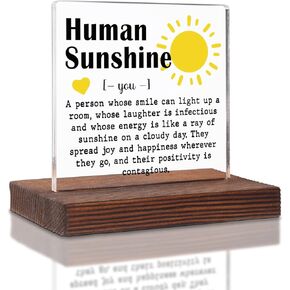 funny sign But Did You Take Attendance? funny Secretary gift, Teacher, hr,Coach,Reminder sign, Acrylic Decorative Signs & Plaques Sk20