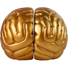 Brain Bookends, 6.5Inch Tall Brain Decorative Resin Book Shelf Organizers Book Holders Shelf Dividers Book Ends for Home or Office Shelves Brain Sculpture Bookend Set