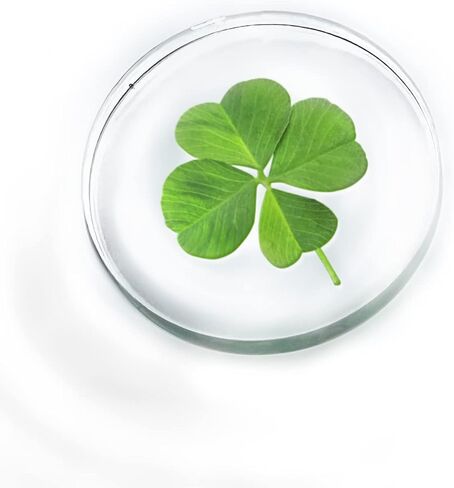 Good Luck Four Leaf Clover Crystal Token in Saudi Arabia