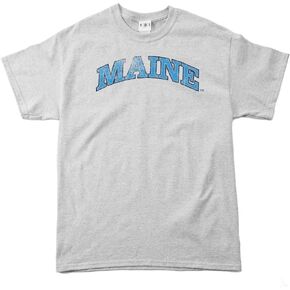 SDI mens Pre Shrunk Short Sleeve Tee sports fan t shirts, Sport Grey, Medium US