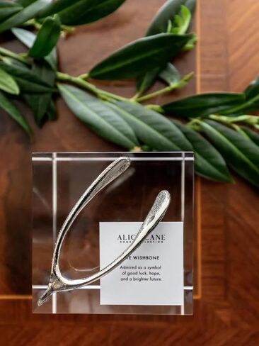 مجموعة Alice Lane WISHBONE Home - تحظى بالإعجاب كرمز للحظ السعيد والأمل والمستقبل الأكثر إشراقًا، يضفي عظم الترقوة النحاسي هذا لمسة جميلة. in Kuwait