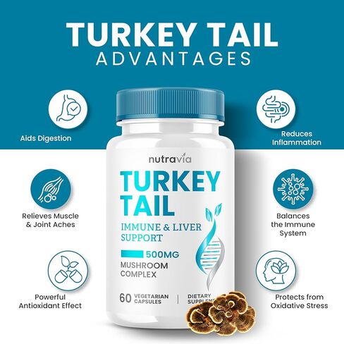 كبسولات فطر ذيل الديك الرومي، نظام المناعة الطبيعي ودعم الجهاز الهضمي، مستخلص ذيل الديك الرومي 500 مجم مسحوق لكل وجبة، حبوب ذيل الديك الرومي، صنع في الولايات المتحدة الأمريكية، تركيبة حقيقية تم اختبارها معملًا نباتيًا (60 كبسولة) in Kuwait
