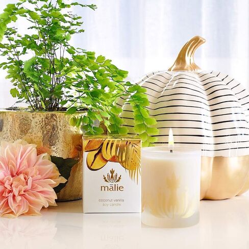 Malie Organics Soy Candle, Pikake in Saudi Arabia