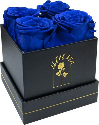 4 Pcs Fresh Preserved Roses in a Box Forever Real Flowers Birthday Valentine's Day Gifts Eternal Love for Her Women Mom(Black, Black Box) in Saudi Arabia