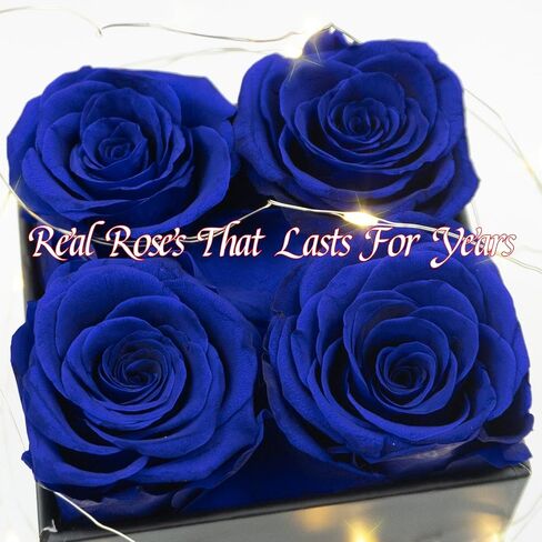 4 Pcs Fresh Preserved Roses in a Box Forever Real Flowers Birthday Valentine's Day Gifts Eternal Love for Her Women Mom(Black, Black Box) in Saudi Arabia