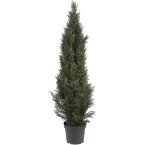Nearly Natural 5291 5ft. Mini Cedar Pine Tree (Indoor/Outdoor),Green,5'