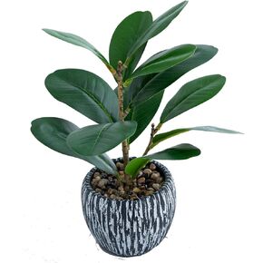 Indoor Faux Olive Plant 12 inch Artificial Silk Plant in Elegant Planter Perfect Fake Olive Plant with Realistic Trunk and Lifelike Fruits Tabletop Greenery Decor for Home Office