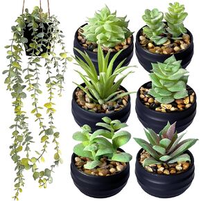 Set of 6 Succulents with Hanging Plant include, Plants Artificial, Fake Succulents, Succulent, Fake Succulent, Artificial Succulents, Succulent Plants, Succulent Decor