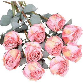 XONOR Artificial Rose Flowers Realistic Silk Burnt Edge Vintage Rose with Long Stem for Home Bridal Wedding Party Floral Bouquets Decoration (10Pcs, White)
