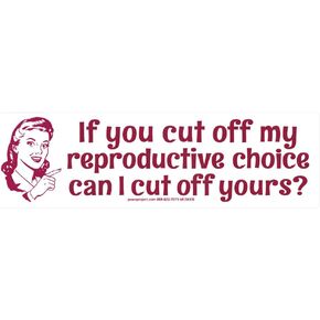 If You Cut Off My Reproductive Choice Can I Cut Off Yours? - Pro-Choice Magnetic Bumper Sticker/Decal Magnet (9.25" X 2.5")