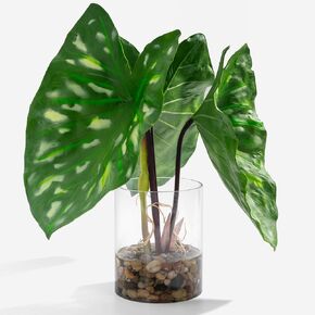 Tropical Artificial Plant in Clear Pot with Artificial Water, Wide Arrowhead Leaves. Faux plants Indoor and Outdoor
