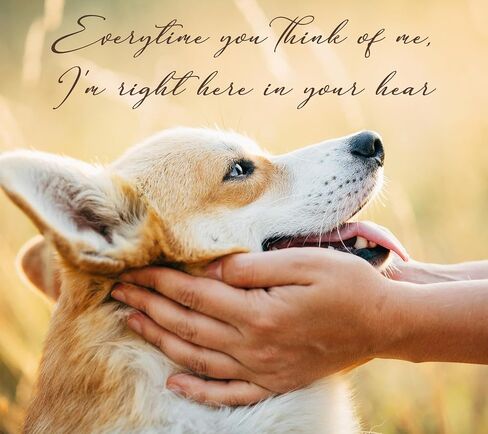 Pet Memorial Gifts for Dogs Cats Dog Memorial Gifts for Loss of Dog Cat - Loss of Dog Sympathy Gift Pet Loss Gifts Rotating Picture Frame for 4x6 Photos, Dog Bereavement Remembrance Condolence Gifts in Saudi Arabia