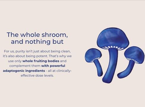 Vitamin D2 | Premium European Mushroom Supplement | High Potency (3600 IU) of Organic Whole Food Vitamin D from Mushrooms | Supports Immune, Bone Health Energy and Mood in Saudi Arabia