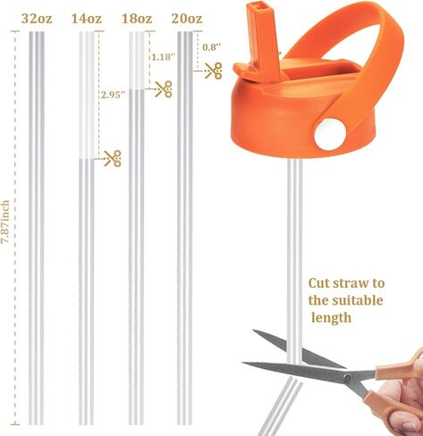 WEREWOLVES Straw Lid for Wide Mouth Insulated Sports Water Bottle, Replacement Lid Straws Cap Compatible with Most Bottles,Including Straws and Brush (Orange) in Saudi Arabia