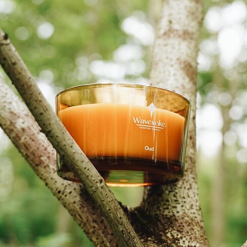 Wavevoke-Classic Woody 3-Wick Oud Vanilla Soy Candle 8 .11oz - Ideal for Spa, Bath, and Yoga | Jar Set for Home Ambience in Saudi Arabia