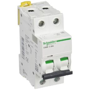 Schneider Electric A9F74220 IC60N Circuit Breaker, Acti9, 2P, 20A, Curvature C, 50/60 Hz, White