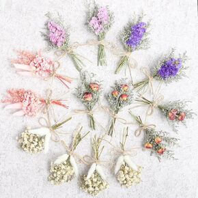 14pcs Dried Flowers Forget-me-not Bouquet With Stems Natural Dried Flowers Dry Pressed Flower Bouquet Vase, Boutonniere Table Centrepiece Cake Flowers Diy, Photo Shoot Props, Wedding, Party Decoration