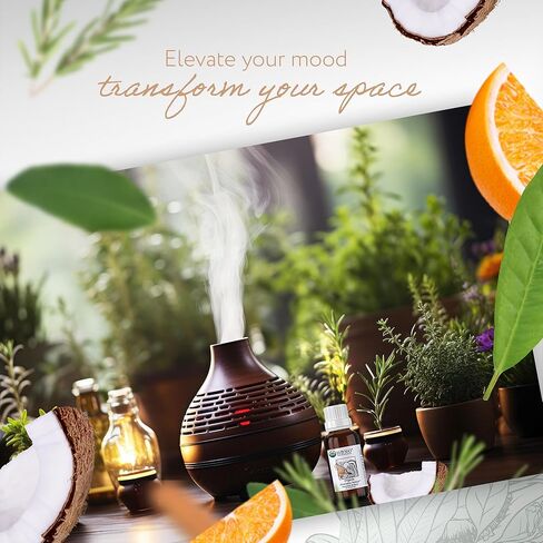 مزيج HBNO Organic Aromatic Armor™ (مقارنة باللصوص) - حجم قيمة 1 أونصة (30 مل) - مزيج الزيوت العطرية الطبيعية - مثالي للتنظيف والعلاج العطري والأعمال اليدوية والصابون وموزع الروائح in Kuwait