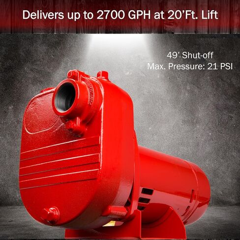 Red Lion RL-S50 115/230 Volt, 1/2 HP, 2940 GPH Self Priming Cast Iron Surface Effluent Pump, Red, 621810 in Saudi Arabia