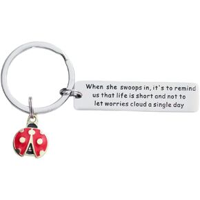 سلسلة مفاتيح بتصميم الدعسوقة من فالافو، افكار هدايا فريدة للنساء والبنات والرجال والسيدات ومحبي الحشرات، سلسلة مفاتيح ملهمة من الستانلس ستيل, ستانلس ستيل in Kuwait