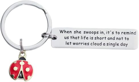 سلسلة مفاتيح بتصميم الدعسوقة من فالافو، افكار هدايا فريدة للنساء والبنات والرجال والسيدات ومحبي الحشرات، سلسلة مفاتيح ملهمة من الستانلس ستيل, ستانلس ستيل in Kuwait