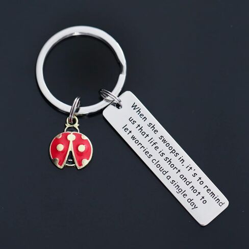 سلسلة مفاتيح بتصميم الدعسوقة من فالافو، افكار هدايا فريدة للنساء والبنات والرجال والسيدات ومحبي الحشرات، سلسلة مفاتيح ملهمة من الستانلس ستيل, ستانلس ستيل in Kuwait